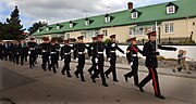 Vignette pour Falkland Islands Defence Force