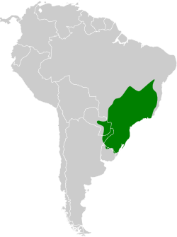 Distribución geográfica del fiofío brasileño.