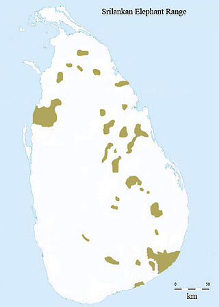 Range of Sri Lankan elephant