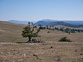 * Nomination Landscape of the Entzia mountain range. Álava, Basque Country, Spain --Basotxerri 14:57, 17 August 2016 (UTC) * Promotion  Support Good quality.--Famberhorst 15:26, 17 August 2016 (UTC)