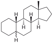 Estran.svg