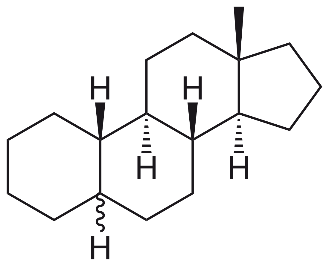 Estran