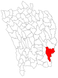 Location in Vaslui County