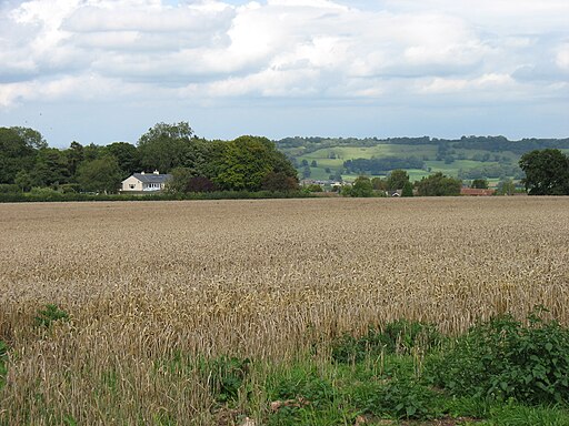 Farmland above East Harptree - geograph.org.uk - 2569249
