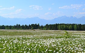 Arshanin lomakylän läheisyydessä