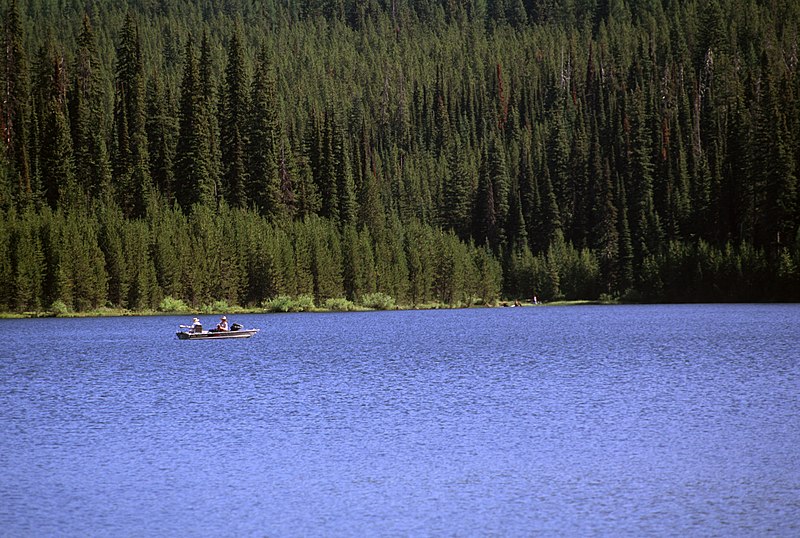 File:Fishing, Jubilee Lake, Umatilla National Forest (36169882492).jpg