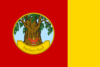 Flag of Prachinburi