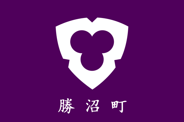 File:Flag of Katsunuma, Yamanashi (1963–2005).svg