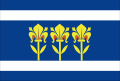 Flag of Provodov.svg