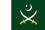 Флаг пакистанской армии.svg