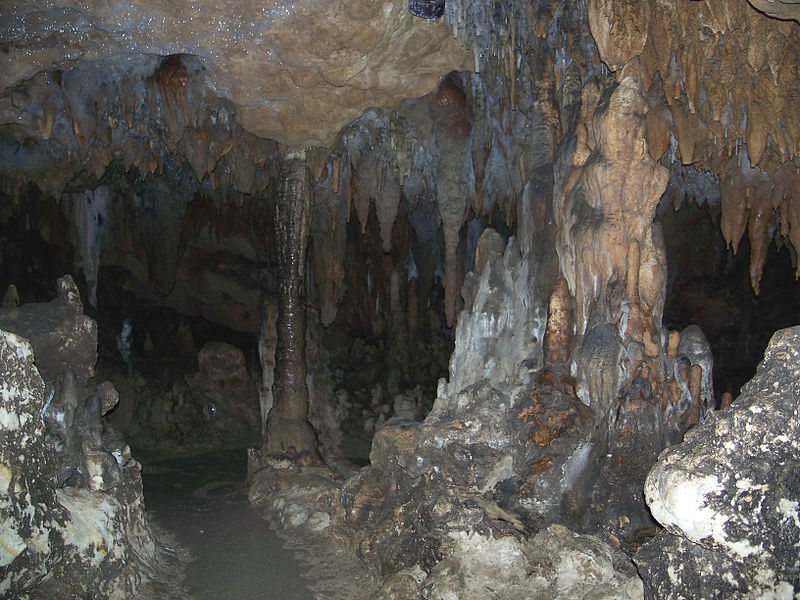 Things to Do in Florida Cavern State Park