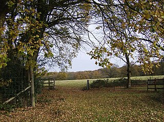 <span class="mw-page-title-main">Bentley Station Meadow</span>