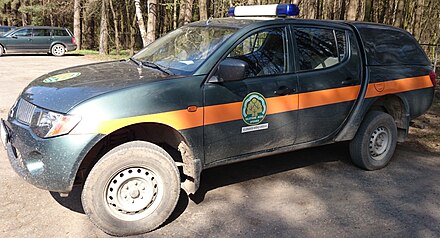 Forest security in Lithuania