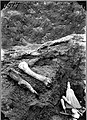 Fossils, whisk broom, picks (3568194082).jpg