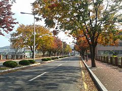 Front gate of Cheonan campus