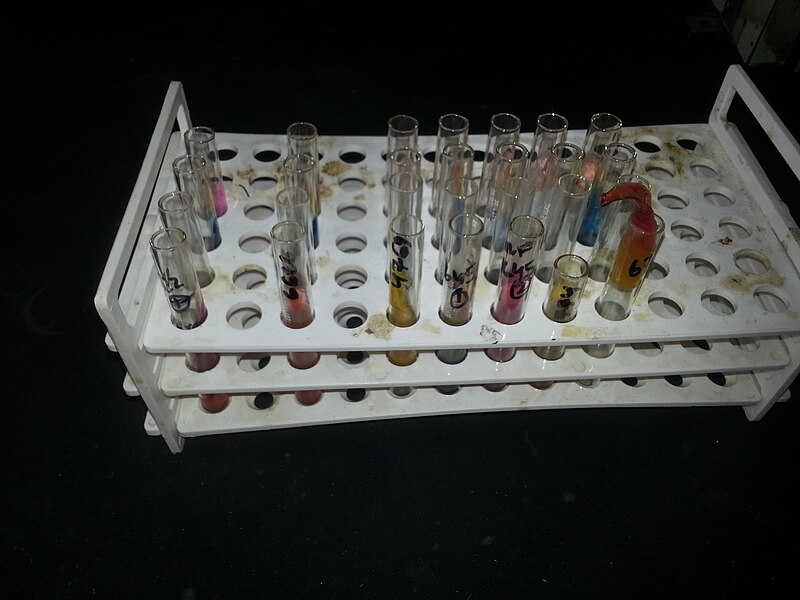 File:Gas formation by bacteria in TSI agar tube.jpg