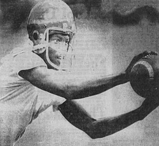 <span class="mw-page-title-main">George Floyd (American football)</span> American football player (born 1960)