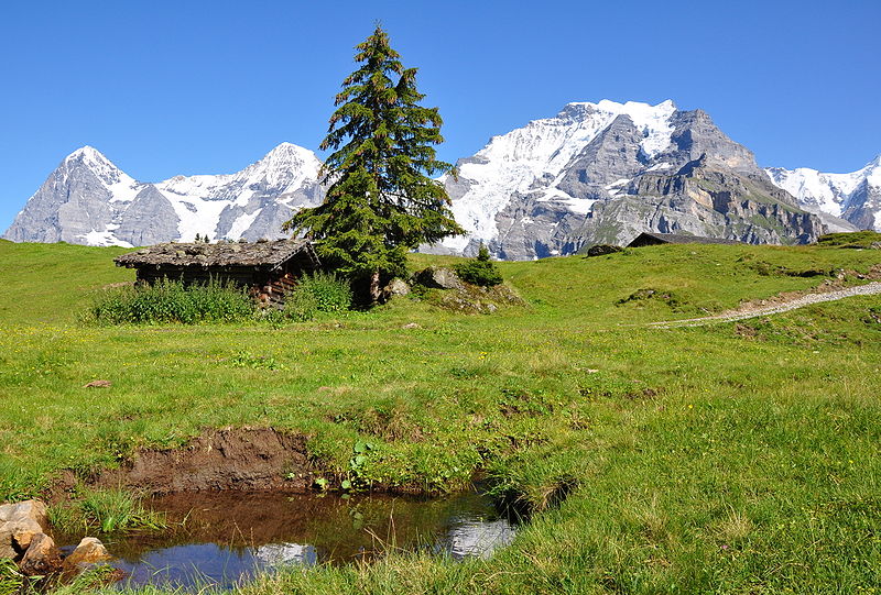 File:Gimmelwald-Grütschalp 29.07.2009 16-04-06.JPG