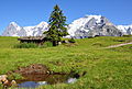 Eiger, Mönch and Jungfrau