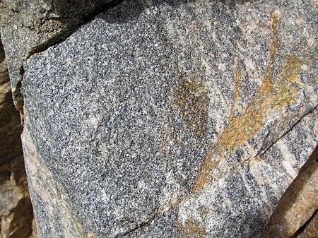 Fail:Gneiss (Neoarchean, ~2.7 Ga; Route 212 roadcut, south of Red Lodge, Montana, USA) 22.jpg