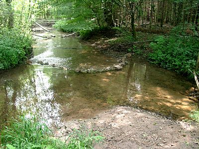 Goldersbachentstehung-Deutschland.jpg