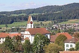 Reformerta kyrkan i Gontenschwil