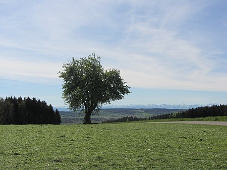 Grabener Höhe (Blick auf die Alpen)