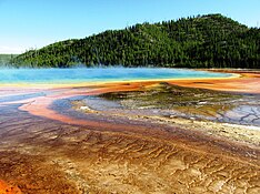 The orange and brown color at the edge are due to the cyanobacteria Phormidium, Synechococcus, and Calothrix.