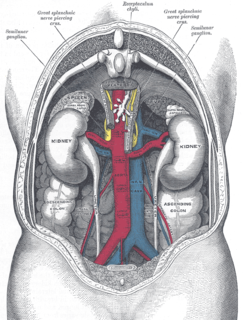 <span class="mw-page-title-main">Ovarian vein syndrome</span> Medical condition