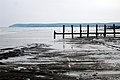 Groynes at Cooden Beach - geograph.org.uk - 1339750.jpg