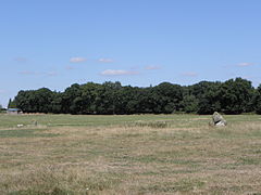 Hédé-Bazouges (35) Alignement de menhirs de Bringuerault 06.JPG