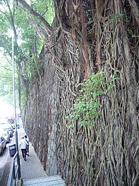 Forbes Street, Kennedy Town, Hong Kong HK Kennedy Town Forbes Street w1.jpg