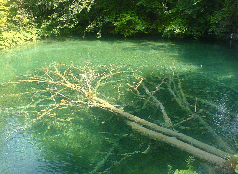 File:HR - Plitvice (Plitvička Jezera)13.JPG