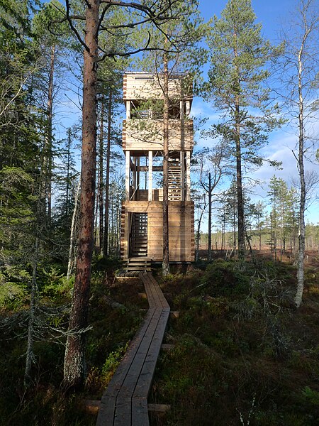 File:Hamra national park observation tower.JPG