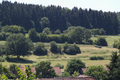 English: Pastures with Cattle near Rixfeld, Herbstein, Hesse, Germany This is a picture of the protected area listed at WDPA under the ID 555537664