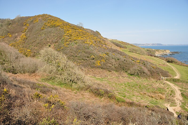 File:Hill and South West Coast Path above Samphire Beach (0752).jpg