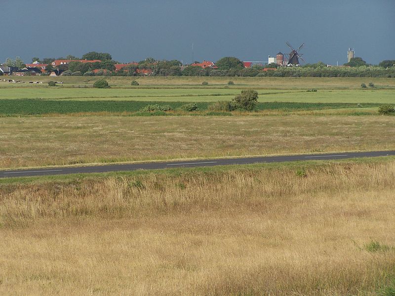 File:HojerOldDike.jpg