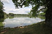 Čeština: Horní velký rybník (6,43 ha) v k.ú. Údolí u Nových Hradů, obec Nové Hrady, okres České Budějovice. English: Horní velký pond in Nové Hrady, České Budějovice District, South Bohemian Region, Czechia.