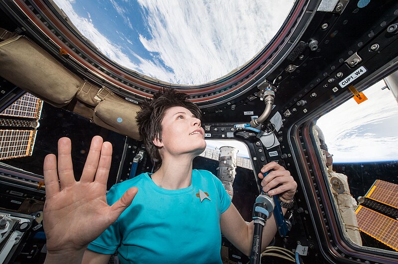 File:ISS-42 Samantha Cristoforetti Leonard Nimoy tribute.jpg