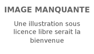 Fortune Salaire Mensuel de Carbonne Rappeur Combien gagne t il d argent ? 2 178,00 euros mensuels