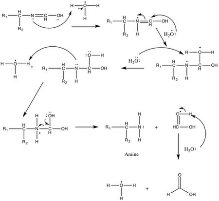 Hydrolysis of imine Imine hydrolysis.jpg