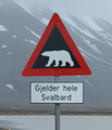 Juni 2010: Warnung vor Eisbären auf Spitzbergen