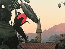 Rosenlampe am Abend mit der Kutlu Bey Camii im Hintergrund