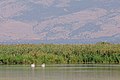 Izrael, Galilejské jezero, imgp9605 (2017-10).jpg