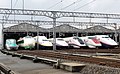 "JR_East_Shinkansen_lineup_at_Niigata_Depot_201210.jpg" by User:Rsa