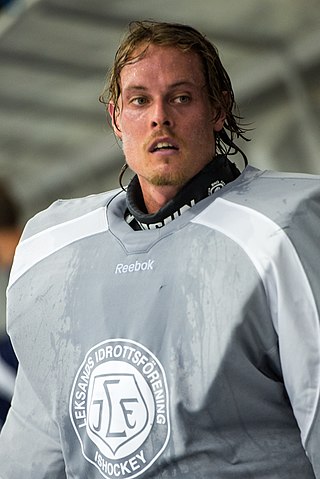 <span class="mw-page-title-main">Joel Gistedt</span> Swedish ice hockey player (born 1987)