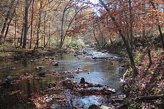 <span class="mw-page-title-main">Johns Creek (Oostanaula River tributary)</span> River in Georgia, United States