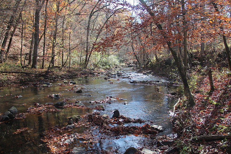 File:Johns Creek (Oostanaula River), Johns Mountain WMA, Nov 2017 1.jpg