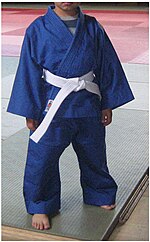 Miniatura para Judogi