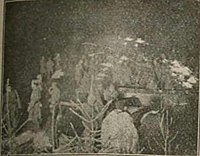 Kampania karpacka II. Legionu - ilustracja str.61.jpg
